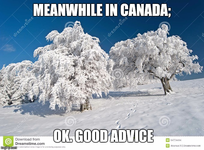 MEANWHILE IN CANADA; OK. GOOD ADVICE | made w/ Imgflip meme maker