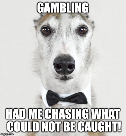 GREYHOUND | GAMBLING HAD ME CHASING WHAT COULD NOT BE CAUGHT! | image tagged in greyhound | made w/ Imgflip meme maker