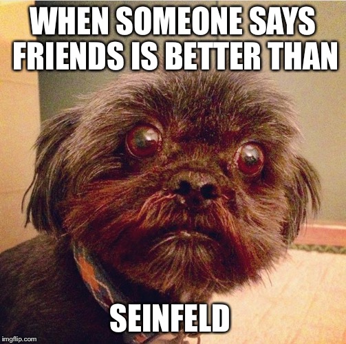 Bearytails  | WHEN SOMEONE SAYS FRIENDS IS BETTER THAN; SEINFELD | image tagged in seinfeld,cute,puppy,dog,funny,funny dogs | made w/ Imgflip meme maker