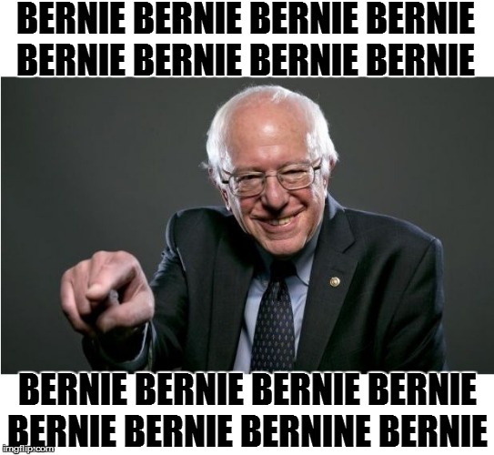 Bernie Sanders | BERNIE BERNIE BERNIE BERNIE BERNIE BERNIE BERNIE BERNIE; BERNIE BERNIE BERNIE BERNIE BERNIE BERNIE BERNINE BERNIE | image tagged in bernie sanders | made w/ Imgflip meme maker