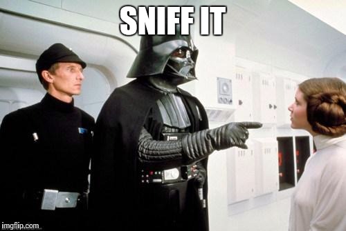 darth vader leia | SNIFF IT | image tagged in darth vader leia | made w/ Imgflip meme maker