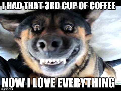 Happy Dog  | I HAD THAT 3RD CUP OF COFFEE; NOW I LOVE EVERYTHING | image tagged in doge,dogs,dog,memes | made w/ Imgflip meme maker