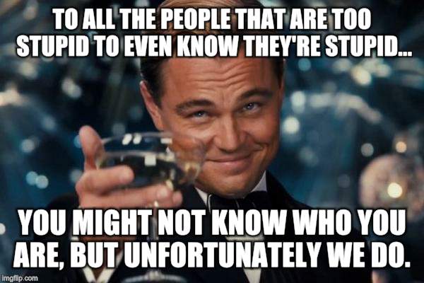 Leonardo Dicaprio Cheers | TO ALL THE PEOPLE THAT ARE TOO STUPID TO EVEN KNOW THEY'RE STUPID... YOU MIGHT NOT KNOW WHO YOU ARE, BUT UNFORTUNATELY WE DO. | image tagged in memes,leonardo dicaprio cheers | made w/ Imgflip meme maker