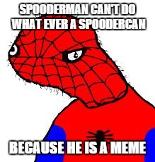 Don't Let your memes be memes | SPOODERMAN CAN'T DO WHAT EVER A SPOODERCAN; BECAUSE HE IS A MEME | image tagged in spooderman | made w/ Imgflip meme maker