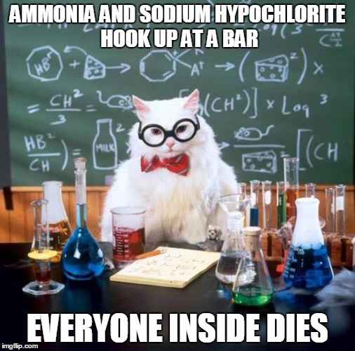 Chemistry Cat Meme | AMMONIA AND SODIUM HYPOCHLORITE HOOK UP AT A BAR; EVERYONE INSIDE DIES | image tagged in memes,chemistry cat | made w/ Imgflip meme maker