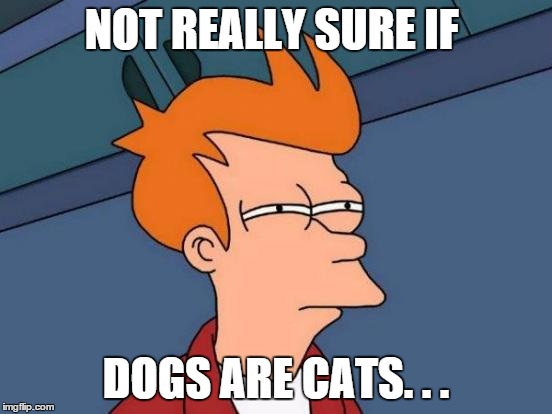 Futurama Fry Meme | NOT REALLY SURE IF DOGS ARE CATS. . . | image tagged in memes,futurama fry | made w/ Imgflip meme maker