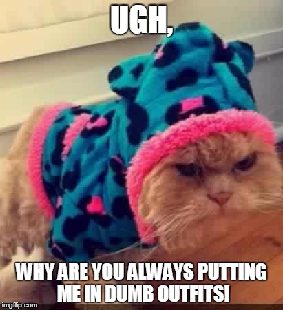 Cat Scratch | UGH, WHY ARE YOU ALWAYS PUTTING ME IN DUMB OUTFITS! | image tagged in cat scratch | made w/ Imgflip meme maker