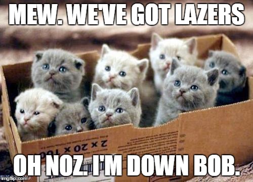 box of cats | MEW. WE'VE GOT LAZERS; OH NOZ. I'M DOWN BOB. | image tagged in box of cats | made w/ Imgflip meme maker