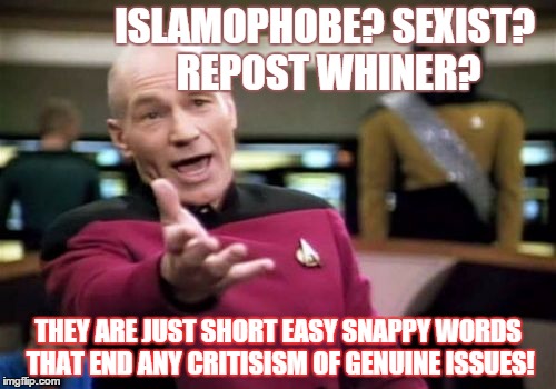 Picard Wtf Meme | ISLAMOPHOBE? SEXIST? REPOST WHINER? THEY ARE JUST SHORT EASY SNAPPY WORDS THAT END ANY CRITISISM OF GENUINE ISSUES! | image tagged in memes,picard wtf,repost | made w/ Imgflip meme maker