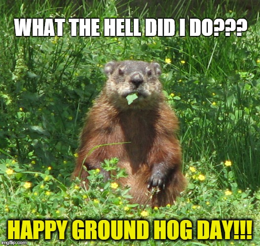 Ground Hog Day | WHAT THE HELL DID I DO??? HAPPY GROUND HOG DAY!!! | image tagged in ground hog eating | made w/ Imgflip meme maker