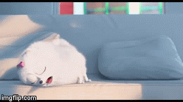 Secret Life of Pets | image tagged in gifs | made w/ Imgflip video-to-gif maker