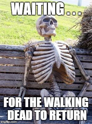 It's just too much time... | WAITING . . . FOR THE WALKING DEAD TO RETURN | image tagged in memes,waiting skeleton,the walking dead | made w/ Imgflip meme maker