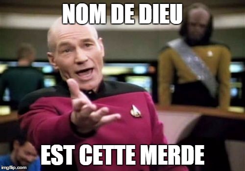 Picard Wtf Meme | NOM DE DIEU; EST CETTE MERDE | image tagged in memes,picard wtf | made w/ Imgflip meme maker