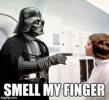 Darth Vader smell my finger | SMELL MY FINGER | image tagged in darth vader finger pointing,pull my finger,darth vs leia,darth vader pointing,darth vader,smell my finger | made w/ Imgflip meme maker
