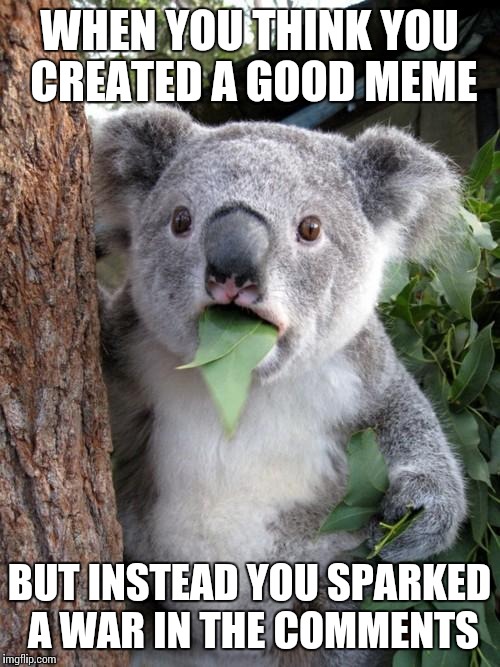 I kinda did this with my kermit the frog meme a few days ago... | WHEN YOU THINK YOU CREATED A GOOD MEME; BUT INSTEAD YOU SPARKED A WAR IN THE COMMENTS | image tagged in memes,surprised koala | made w/ Imgflip meme maker