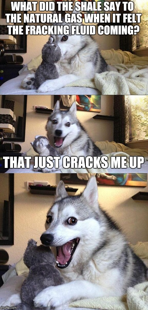 Bad Pun Dog Meme | WHAT DID THE SHALE SAY TO THE NATURAL GAS WHEN IT FELT THE FRACKING FLUID COMING? THAT JUST CRACKS ME UP | image tagged in memes,bad pun dog,fracking | made w/ Imgflip meme maker