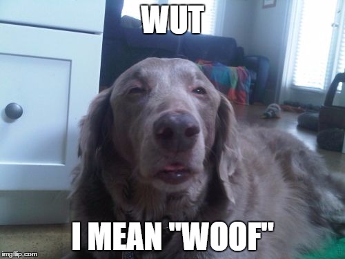 High Dog Meme | WUT; I MEAN "WOOF" | image tagged in memes,high dog | made w/ Imgflip meme maker
