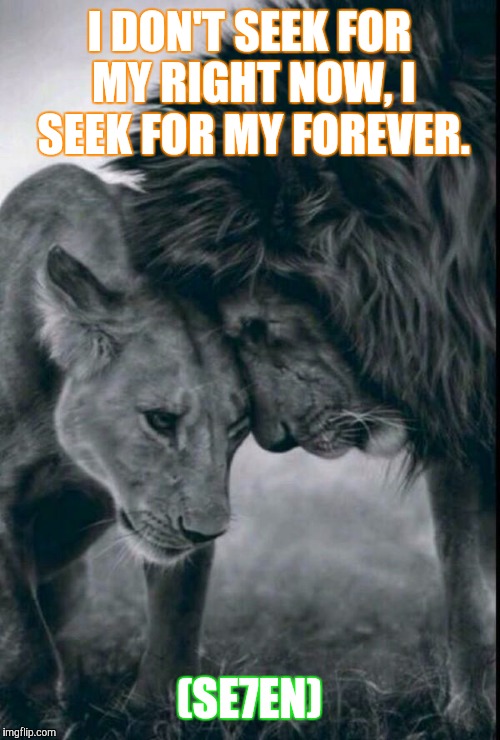 Lions  | I DON'T SEEK FOR MY RIGHT NOW, I SEEK FOR MY FOREVER. (SE7EN) | image tagged in seven | made w/ Imgflip meme maker