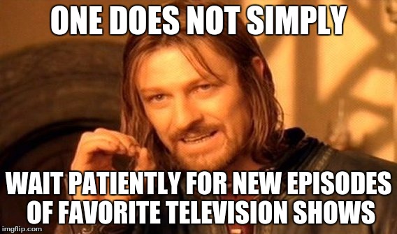 One Does Not Simply | ONE DOES NOT SIMPLY; WAIT PATIENTLY FOR NEW EPISODES OF FAVORITE TELEVISION SHOWS | image tagged in memes,one does not simply | made w/ Imgflip meme maker