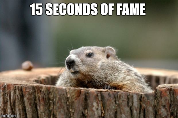 Groundhog | 15 SECONDS OF FAME | image tagged in groundhog | made w/ Imgflip meme maker