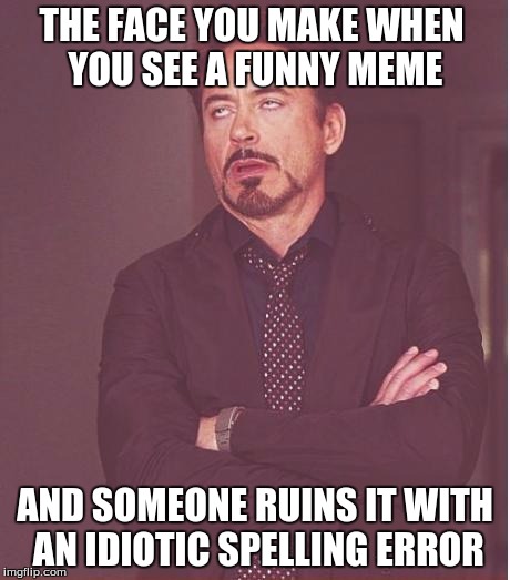 Face You Make Robert Downey Jr | THE FACE YOU MAKE WHEN YOU SEE A FUNNY MEME; AND SOMEONE RUINS IT WITH AN IDIOTIC SPELLING ERROR | image tagged in memes,face you make robert downey jr | made w/ Imgflip meme maker