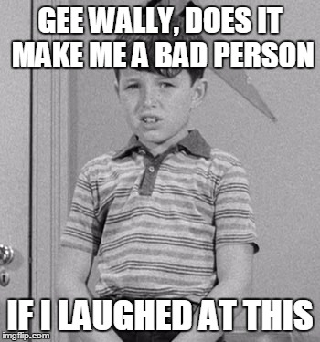 scared beaver | GEE WALLY, DOES IT MAKE ME A BAD PERSON IF I LAUGHED AT THIS | image tagged in scared beaver | made w/ Imgflip meme maker