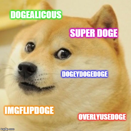 Doge | DOGEALICOUS; SUPER DOGE; DOGEYDOGEDOGE; IMGFLIPDOGE; OVERLYUSEDOGE | image tagged in memes,doge | made w/ Imgflip meme maker