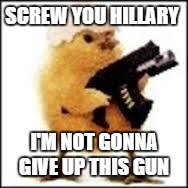chicken | SCREW YOU HILLARY; I'M NOT GONNA GIVE UP THIS GUN | image tagged in chicken | made w/ Imgflip meme maker