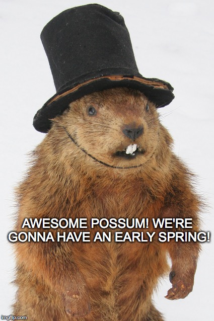 Mmm. Groundhoggy. | AWESOME POSSUM! WE'RE GONNA HAVE AN EARLY SPRING! | image tagged in ground hog day,early spring,2016 | made w/ Imgflip meme maker