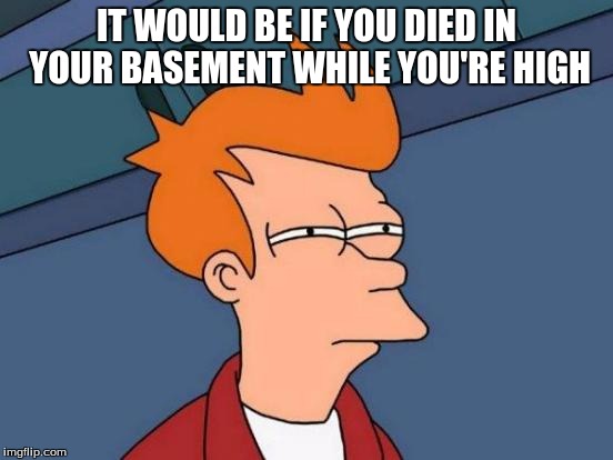 Futurama Fry Meme | IT WOULD BE IF YOU DIED IN YOUR BASEMENT WHILE YOU'RE HIGH | image tagged in memes,futurama fry | made w/ Imgflip meme maker