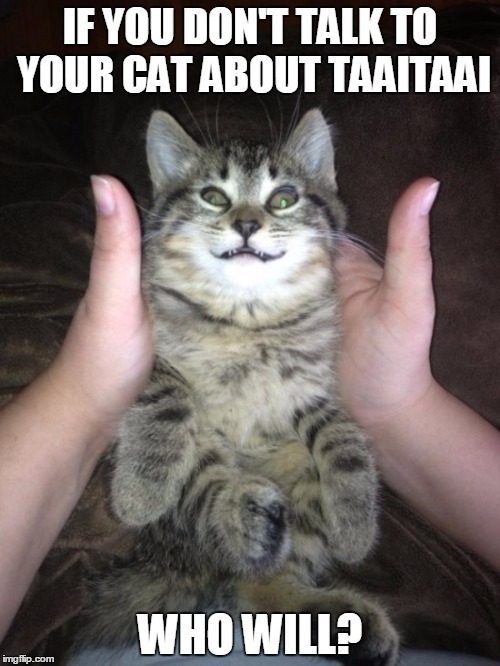 IF YOU DON'T TALK TO YOUR CAT ABOUT TAAITAAI; WHO WILL? | made w/ Imgflip meme maker