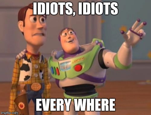X, X Everywhere | IDIOTS, IDIOTS; EVERY WHERE | image tagged in memes,x x everywhere | made w/ Imgflip meme maker