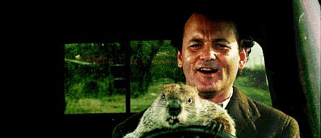 High Quality Bill Murray - Don't Drive Angry Blank Meme Template