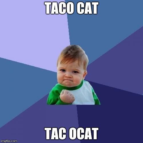 Success Kid Meme | TACO CAT; TAC OCAT | image tagged in memes,success kid | made w/ Imgflip meme maker