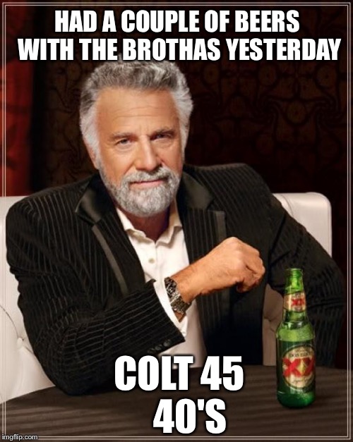 Got trashed | HAD A COUPLE OF BEERS WITH THE BROTHAS YESTERDAY; COLT 45   40'S | image tagged in memes,the most interesting man in the world | made w/ Imgflip meme maker