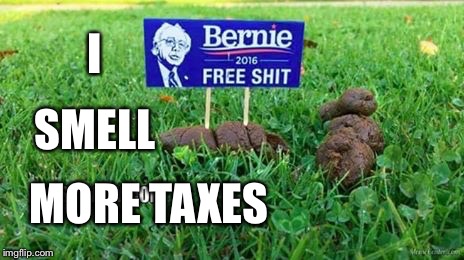 Not Feelin' the Bern... | I; SMELL; MORE TAXES | image tagged in not feelin the bern | made w/ Imgflip meme maker