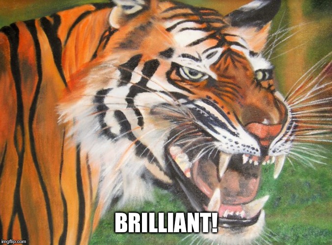 Hipster tiger | BRILLIANT! | image tagged in hipster tiger | made w/ Imgflip meme maker