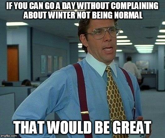 That Would Be Great Meme | IF YOU CAN GO A DAY WITHOUT COMPLAINING ABOUT WINTER NOT BEING NORMAL; THAT WOULD BE GREAT | image tagged in memes,that would be great | made w/ Imgflip meme maker