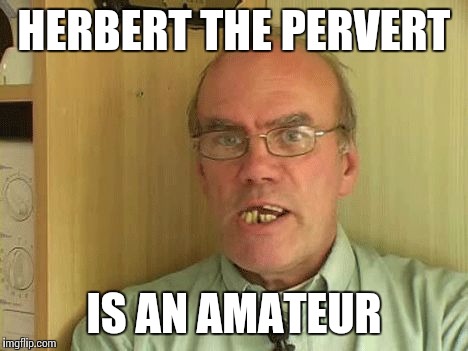 HERBERT THE PERVERT; IS AN AMATEUR | image tagged in dutch paedophile | made w/ Imgflip meme maker