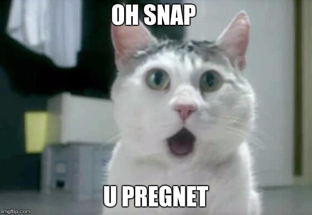 OMG Cat Meme | OH SNAP; U PREGNET | image tagged in memes,omg cat | made w/ Imgflip meme maker
