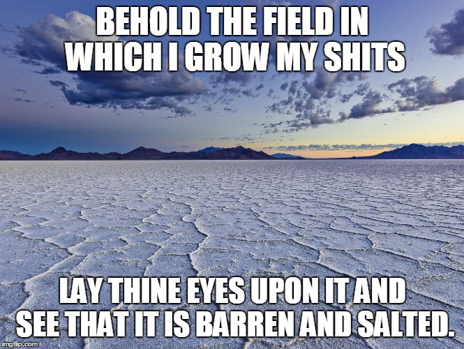 salt flats | BEHOLD THE FIELD IN WHICH I GROW MY SHITS; LAY THINE EYES UPON IT AND SEE THAT IT IS BARREN AND SALTED. | image tagged in salt flats | made w/ Imgflip meme maker