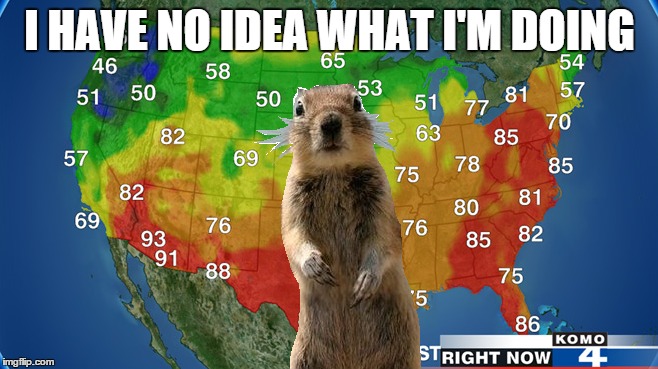 Groundhog Daydream | I HAVE NO IDEA WHAT I'M DOING | image tagged in groundhog day,groundhog,ihavenoideawhatimdoing,holiday | made w/ Imgflip meme maker