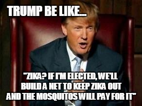 Donald Trump | TRUMP BE LIKE... "ZIKA? IF I'M ELECTED, WE'LL BUILD A NET TO KEEP ZIKA OUT AND THE MOSQUITOS WILL PAY FOR IT" | image tagged in donald trump | made w/ Imgflip meme maker