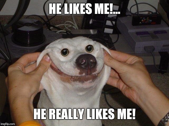 HE LIKES ME!... HE REALLY LIKES ME! | made w/ Imgflip meme maker