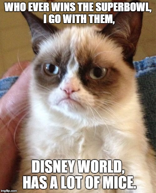 Grumpy Cat Meme | WHO EVER WINS THE SUPERBOWL, I GO WITH THEM, DISNEY WORLD, HAS A LOT OF MICE. | image tagged in memes,grumpy cat | made w/ Imgflip meme maker