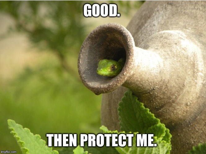 GOOD. THEN PROTECT ME. | image tagged in lizard inside pot | made w/ Imgflip meme maker