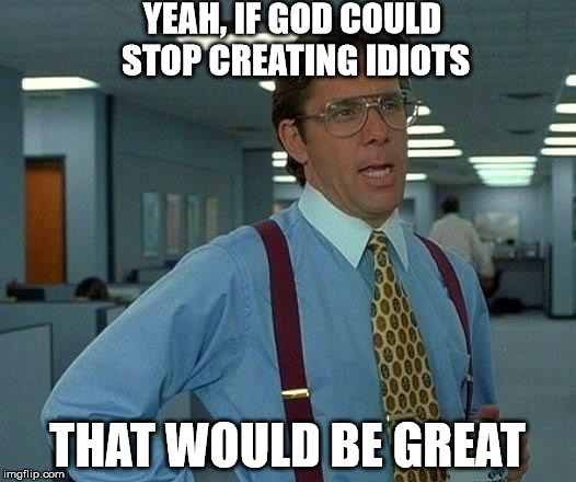 God, please... That would be great. | YEAH, IF GOD COULD STOP CREATING IDIOTS; THAT WOULD BE GREAT | image tagged in memes,that would be great | made w/ Imgflip meme maker