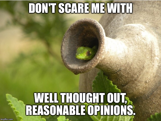 DON'T SCARE ME WITH WELL THOUGHT OUT, REASONABLE OPINIONS. | image tagged in lizard inside pot | made w/ Imgflip meme maker