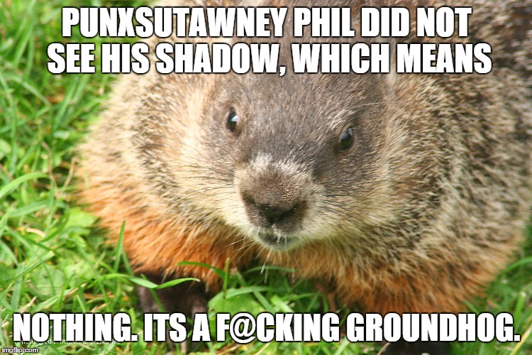 Groundhog Day |  PUNXSUTAWNEY PHIL DID NOT SEE HIS SHADOW, WHICH MEANS; NOTHING. ITS A F@CKING GROUNDHOG. | image tagged in groundhog,groundhog day,it's groundhog day again | made w/ Imgflip meme maker