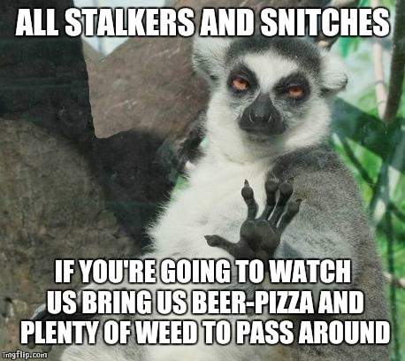 Stoner Lemur Meme | ALL STALKERS AND SNITCHES; IF YOU'RE GOING TO WATCH US BRING US BEER-PIZZA AND PLENTY OF WEED TO PASS AROUND | image tagged in memes,stoner lemur | made w/ Imgflip meme maker